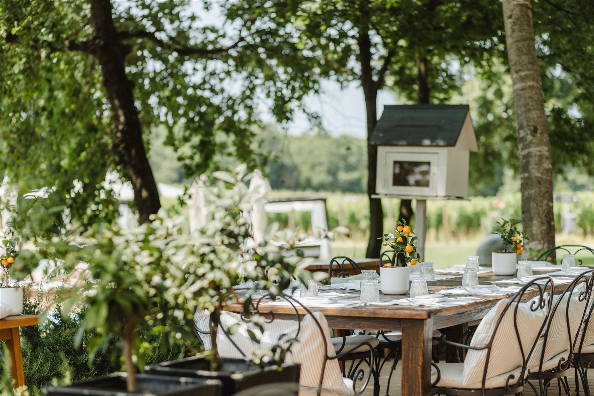 Meneghetti Wine Hotel & Winery wedding venue in Bale, Istria — Croatian Venues